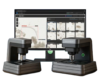AI Detection and Identification