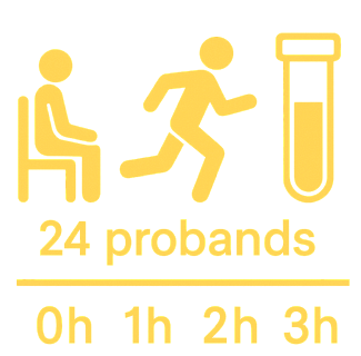 EXERCICE PANEL- 24 PROBANDS AT REST AND AFTER 1, 2 AND 3 HOURS POST EXERCISE