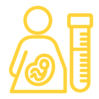 12 PREGANANCY DURATION CATEGORIES, 8 INDIVIDUALS EACH
