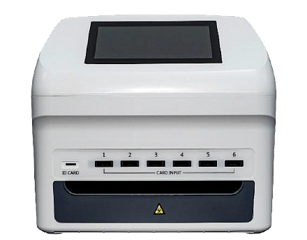 M6