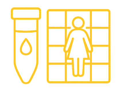 12 BMI CATEGORIES, 8 INDIVIDUALS EACH, FEMALES